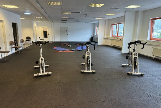 Bodenschutzmatten für Fitness, leicht zu verlegen und schalldämpfend, ideal für Cardio-Geräte und Trainingsbereiche.