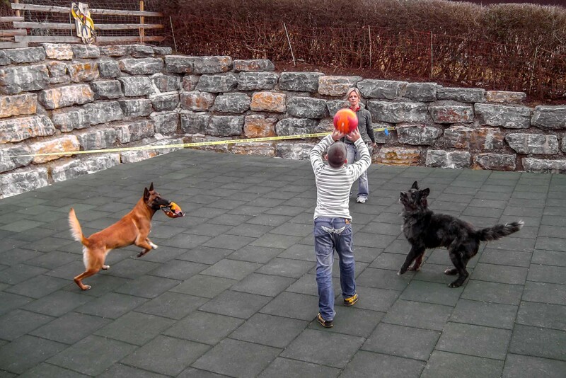 Eine Spielterrasse aus grünen WARCO-Hundematten aus Gummigranulat ist in einen Hang eingebaut. Der Hang ist durch große Natursteinblöcke abgestützt. Auf der Spielterrasse spielen 2 Menschen und 2 Hunde mit einem Ball.