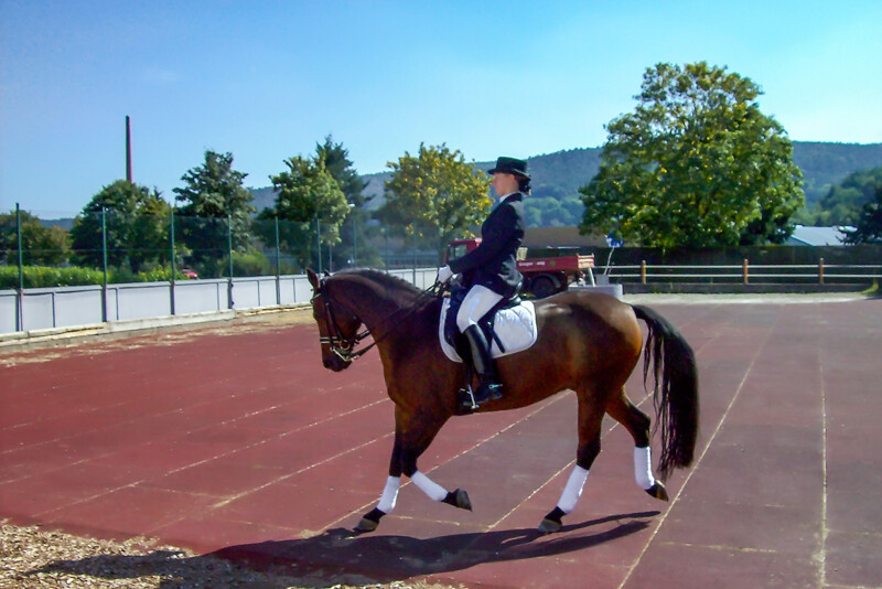 Une cavalière de spectacle entraîne son cheval en dressage sur une arène extérieure de dressage munie des tapis rouges pour paddock WARCO.
